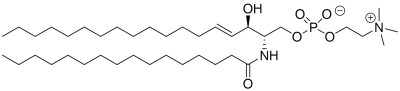 C16-Sphingomyelin (d18:1/16:0) Image 1
